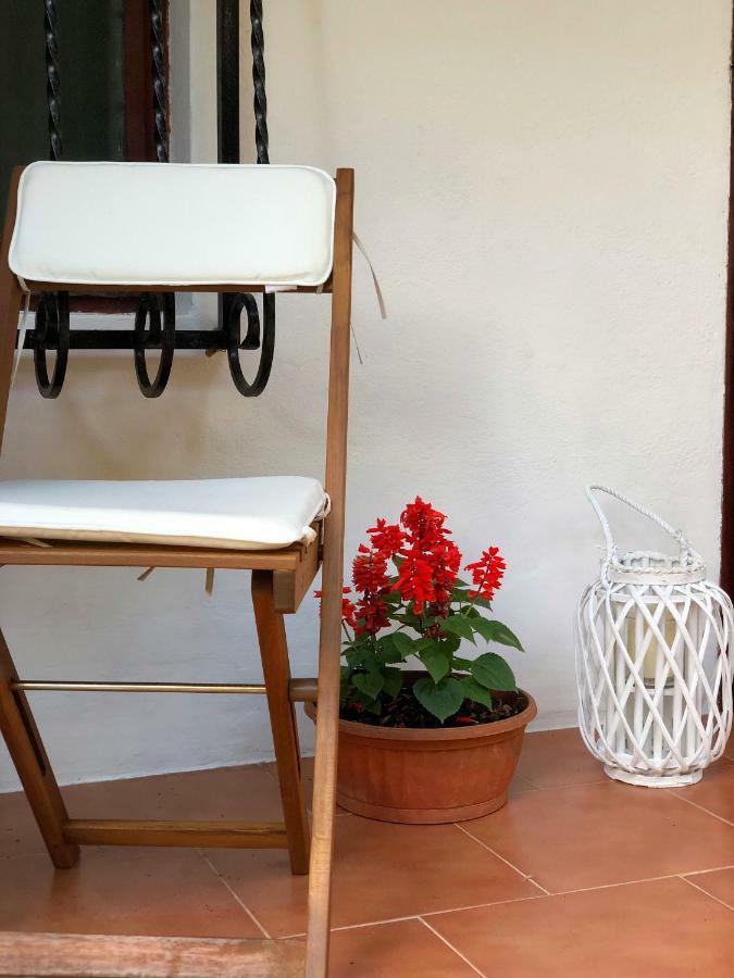 Apartment Nicolas Kotor Ngoại thất bức ảnh